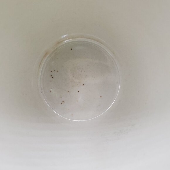 Trisa Trs4 Mugs Trisa Blue Yellow Bands Green Leaves Mugs - Picture 10 of 11